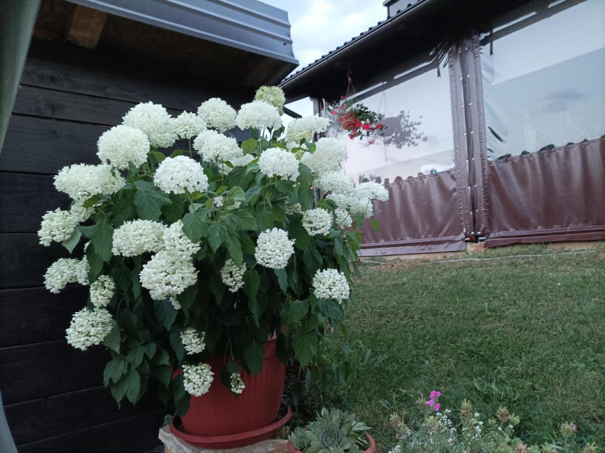 M&S&N Appartement Grabovac  Buitenkant foto